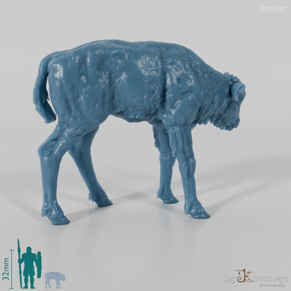 Bison - European Bison - Calf 01