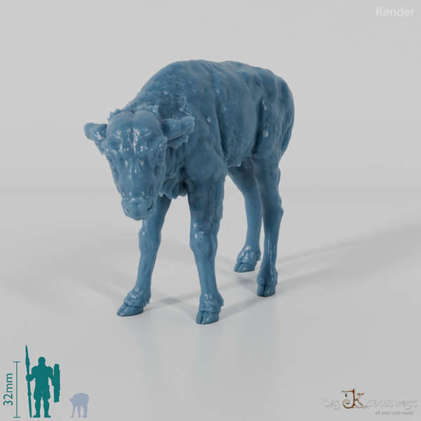Bison - European Bison - Calf 01