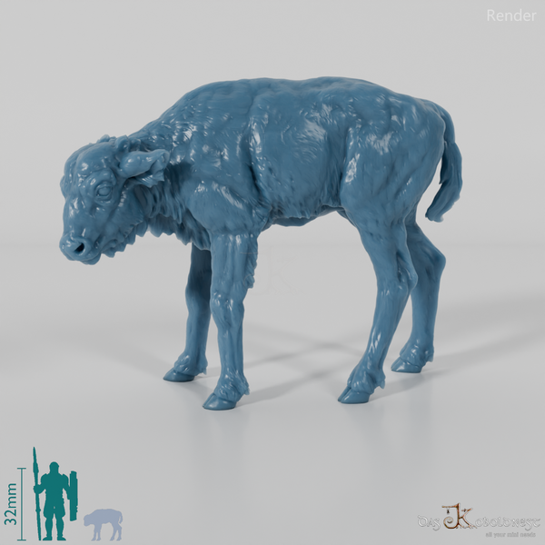 Bison - European Bison - Calf 01