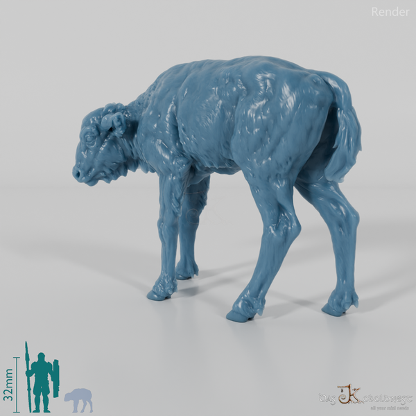Bison - European Bison - Calf 01