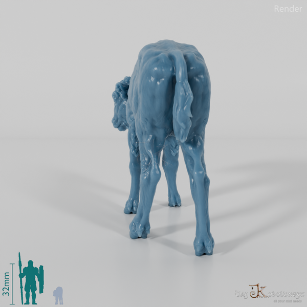 Bison - European Bison - Calf 01