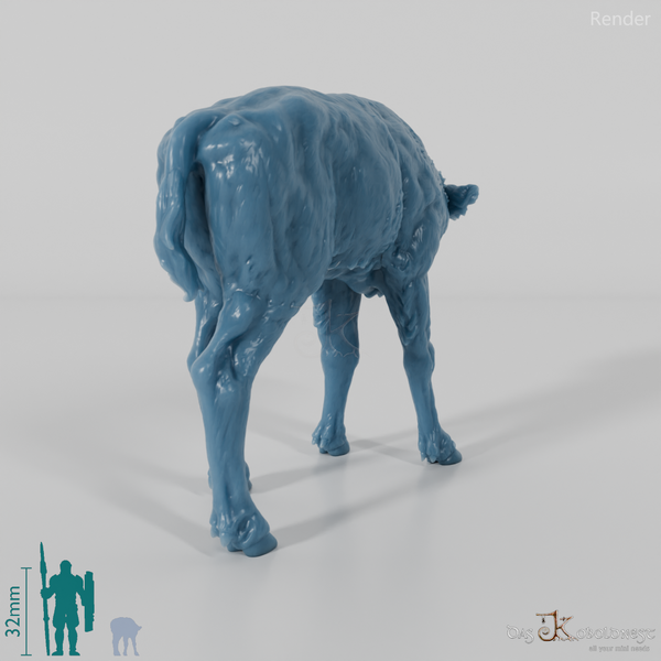 Bison - European Bison - Calf 01