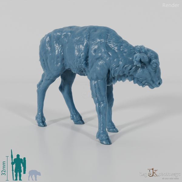 Bison - European Bison - Calf 01