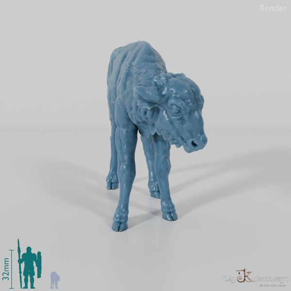 Bison - European Bison - Calf 01