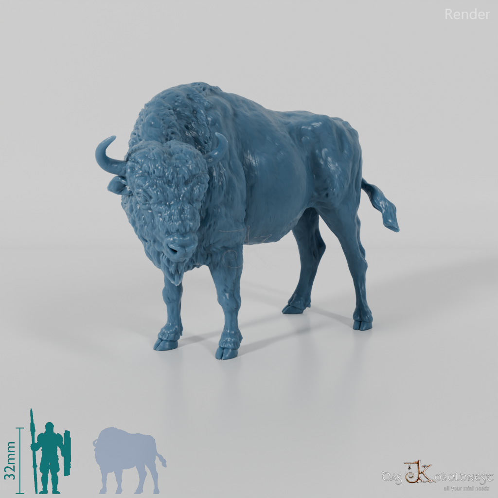 Bison - Europäischer Bison - Kuh 01