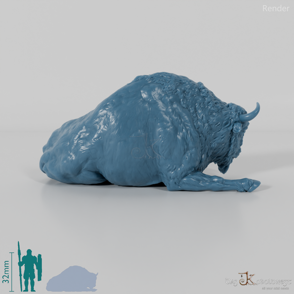Bison - European Bison - Cow 02