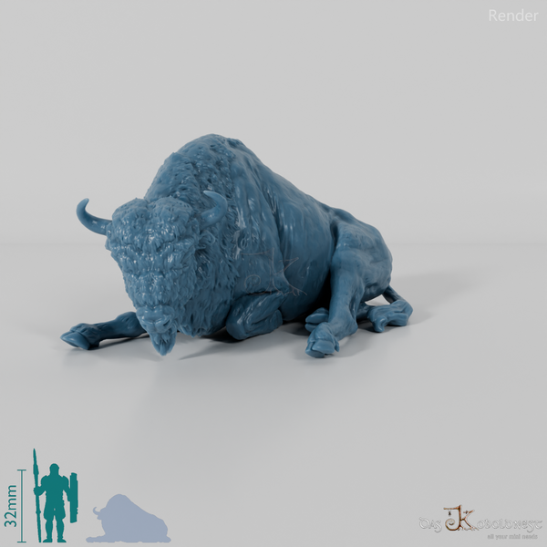 Bison - European Bison - Cow 02