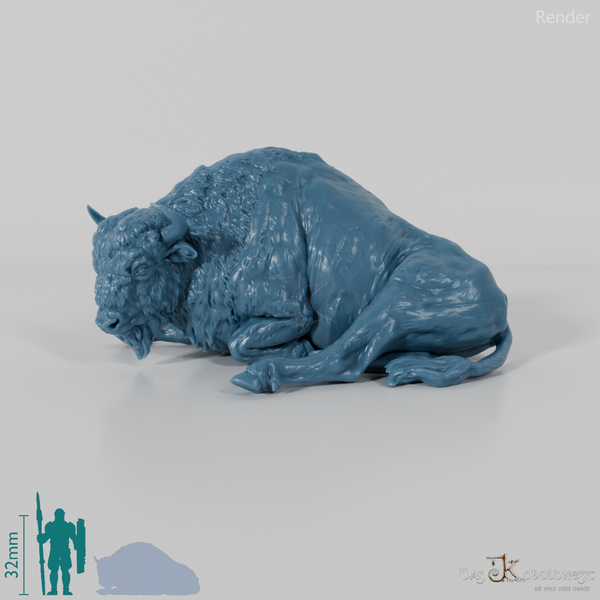 Bison - European Bison - Cow 02