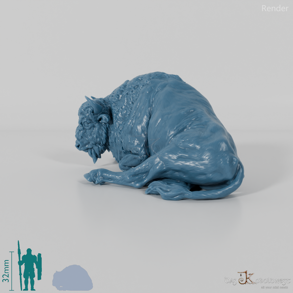Bison - European Bison - Cow 02