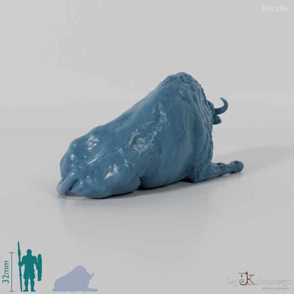 Bison - European Bison - Cow 02