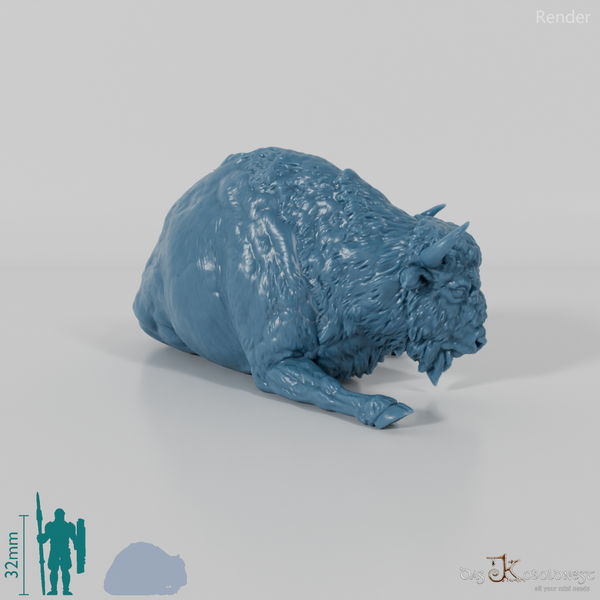 Bison - European Bison - Cow 02