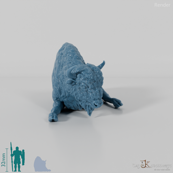 Bison - European Bison - Cow 02