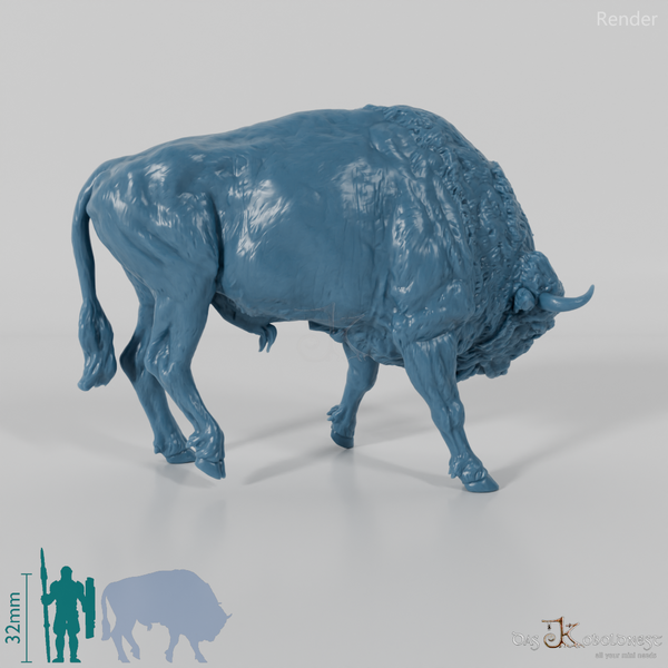 Bison - European Bison - Fighting 02