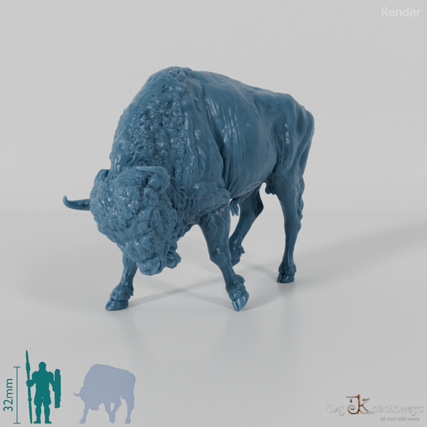 Bison - European Bison - Fighting 02