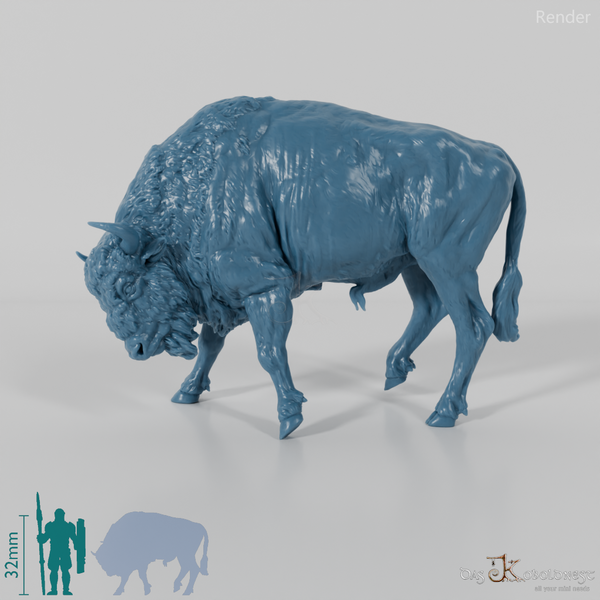 Bison - European Bison - Fighting 02