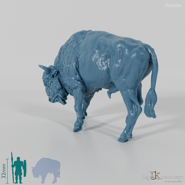 Bison - European Bison - Fighting 02