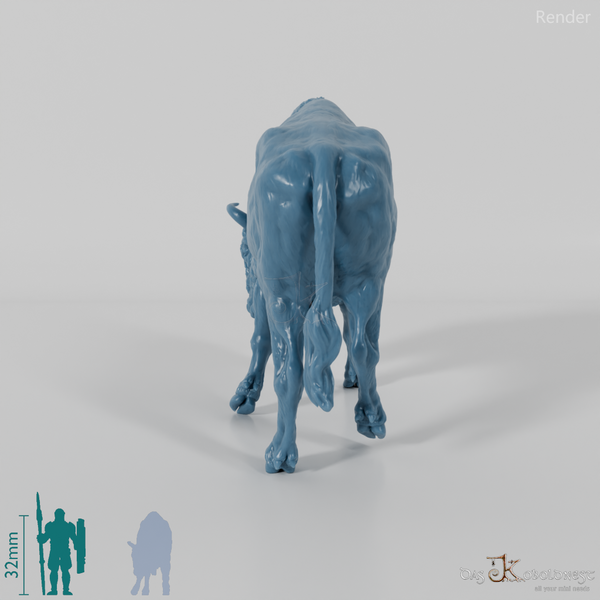 Bison - European Bison - Fighting 02