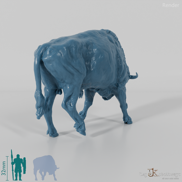 Bison - European Bison - Fighting 02