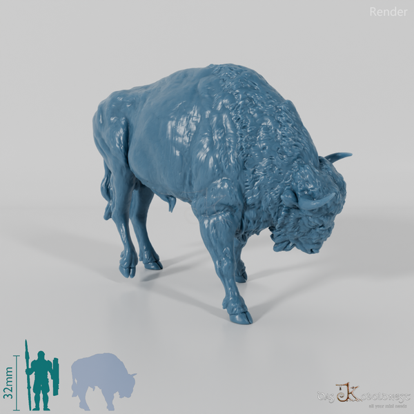 Bison - European Bison - Fighting 02