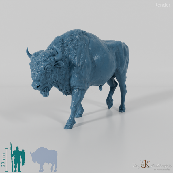 Bison - Europäischer Bison 01
