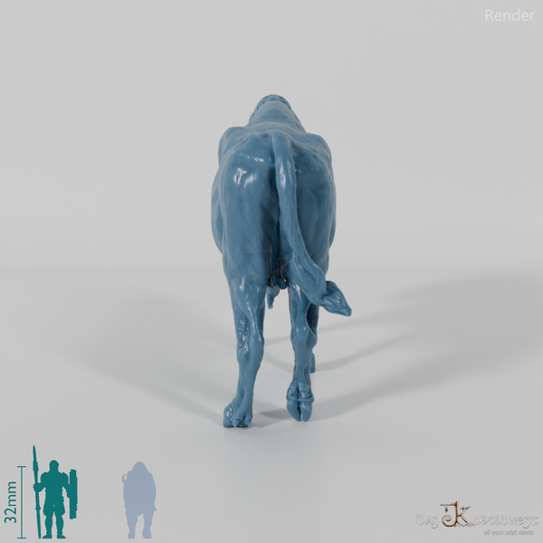 Bison - Europäischer Bison 01