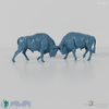 Bison - European Bison - Fighting