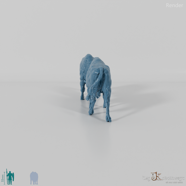 Bison - Europäische Bisons - Kämpfend