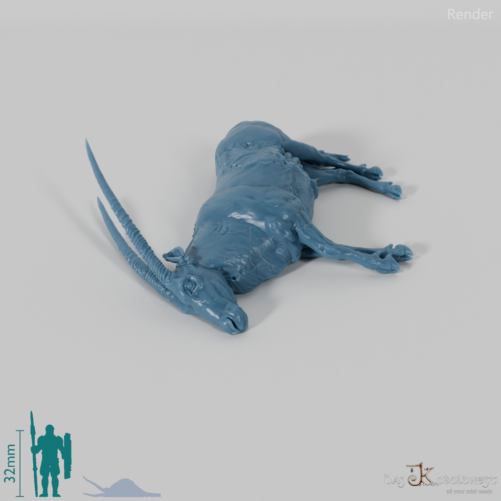 Antelope - Gemsbok 05 - Carcass