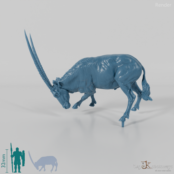 Antilope - Spießbock 03