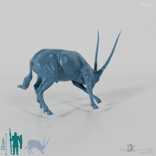 Antilope - Spießbock 03