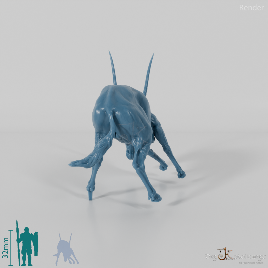 Antelope - Gemsbok 03