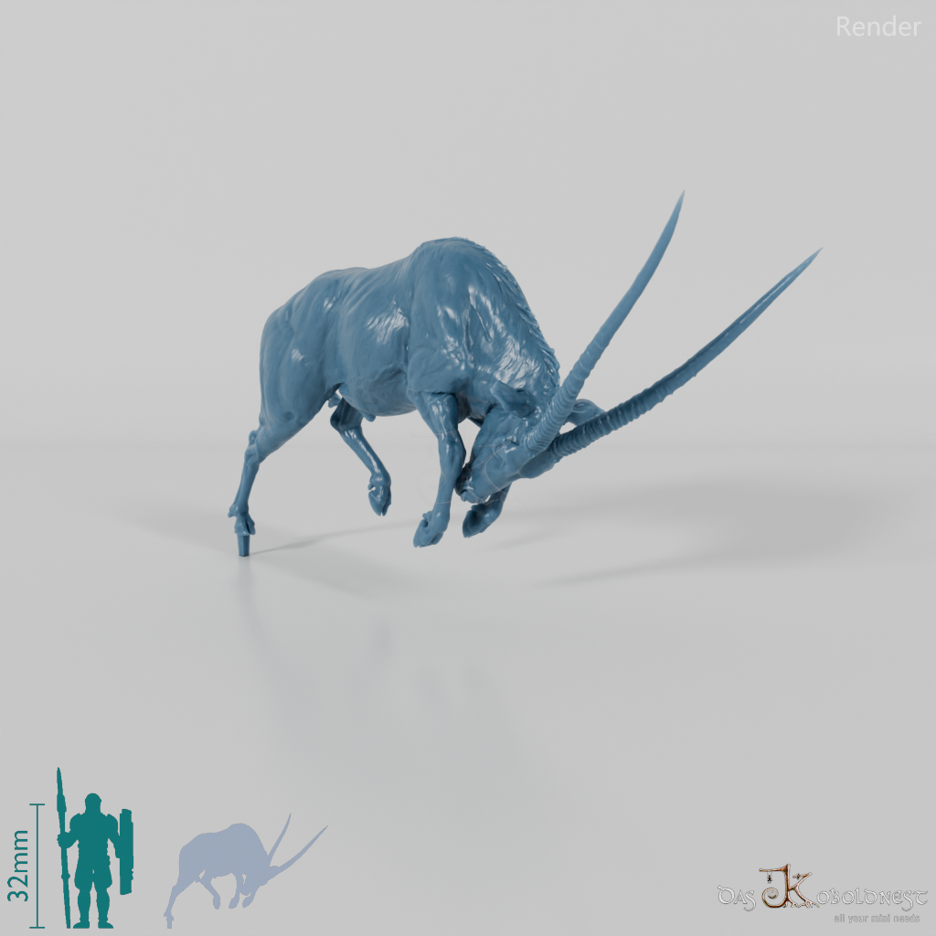 Antelope - Gemsbok 04