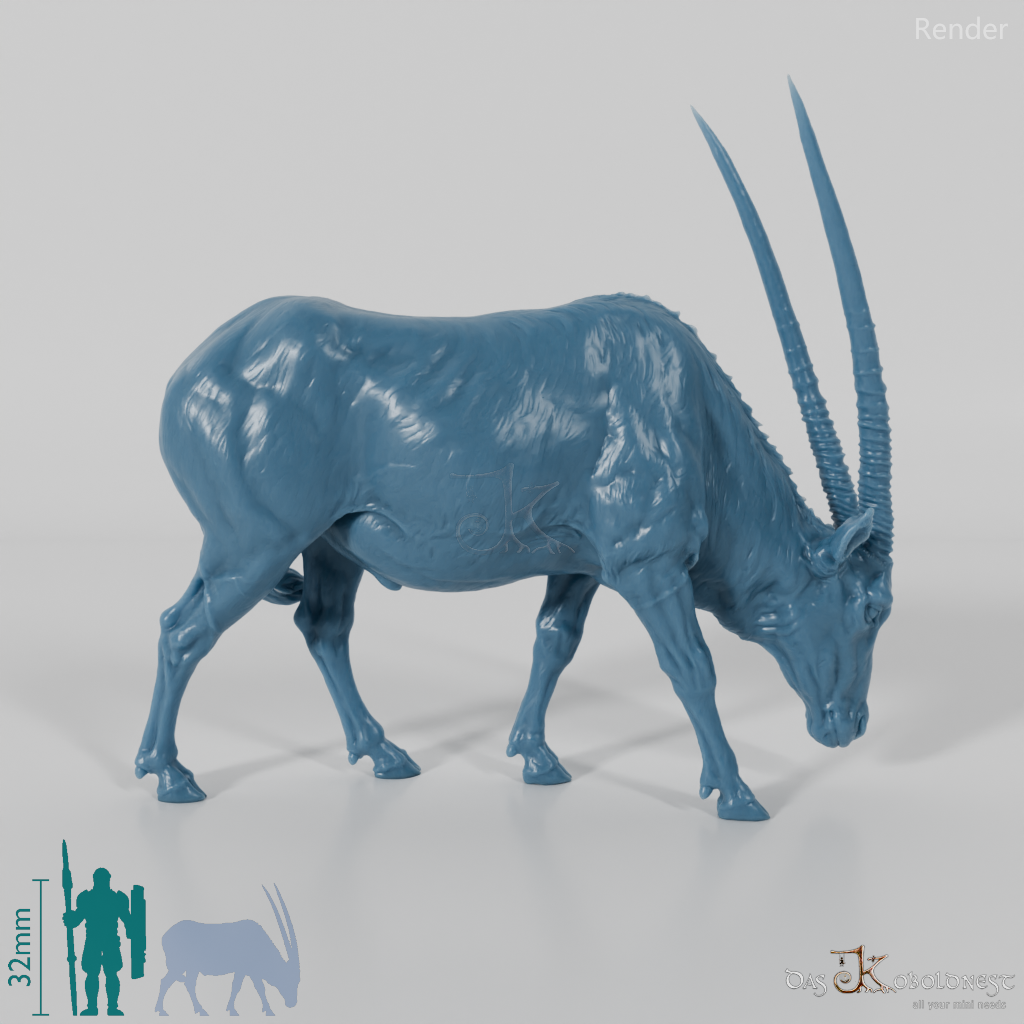 Antelope - Gemsbok 02