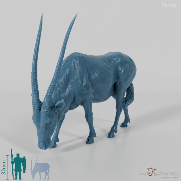 Antilope - Spießbock 02