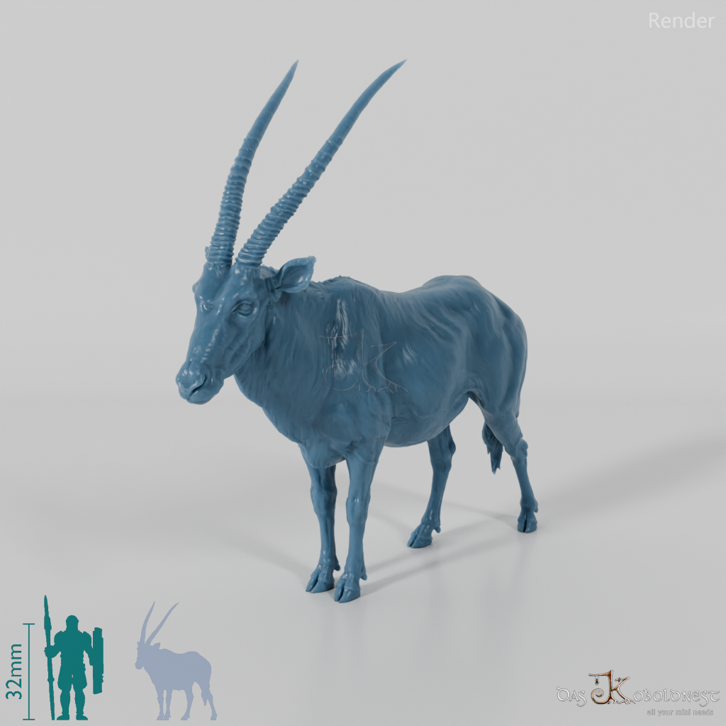 Antelope - Gemsbok 01