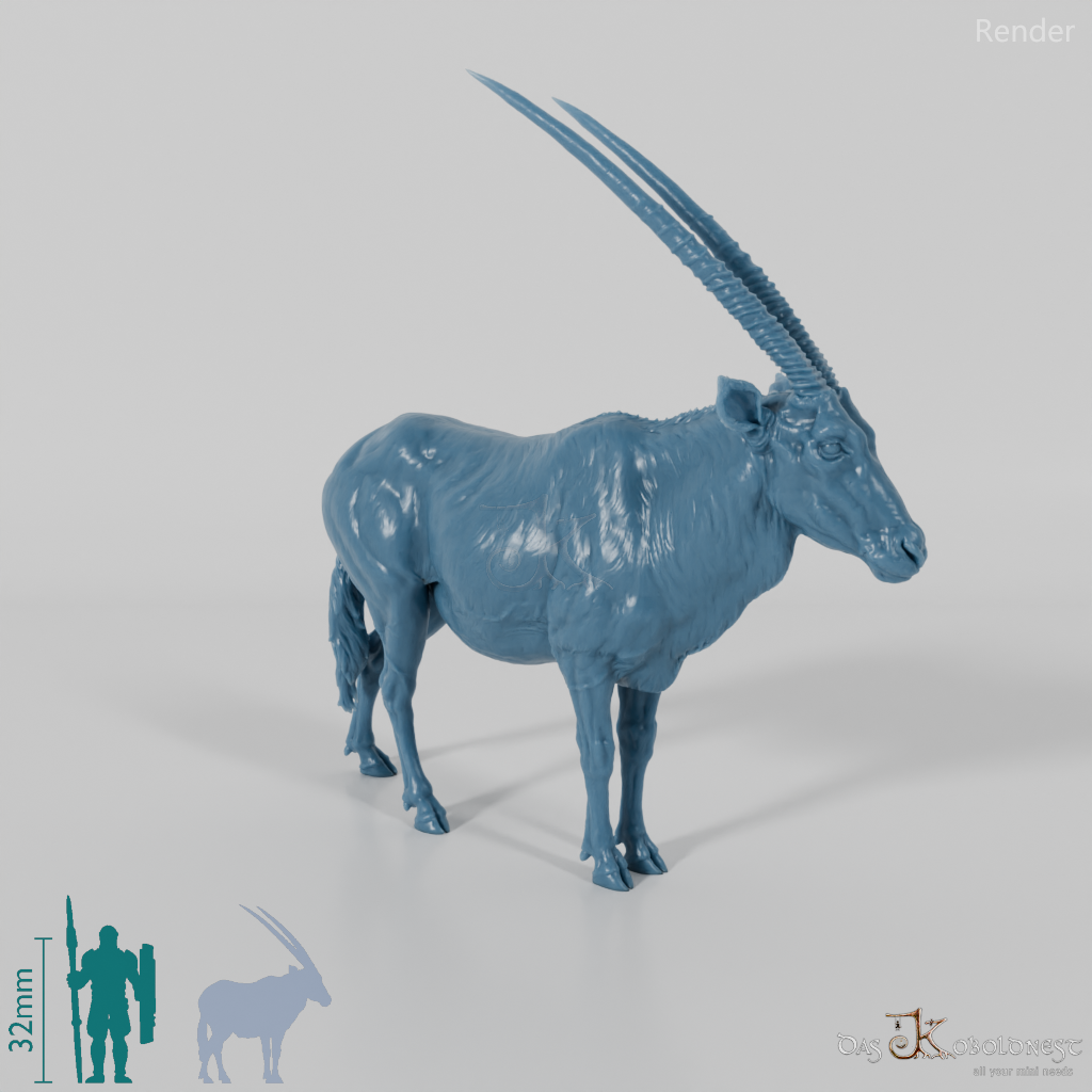 Antelope - Gemsbok 01
