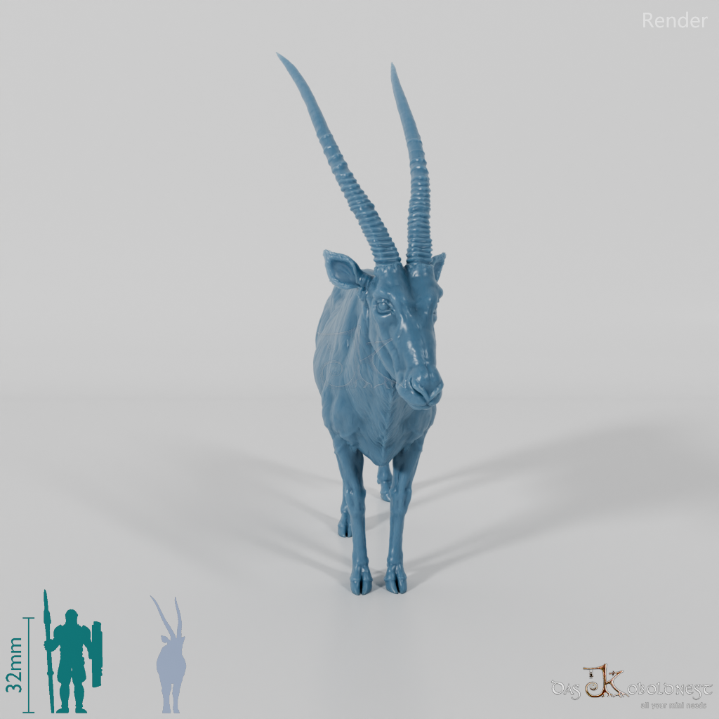 Antilope - Spießbock 01