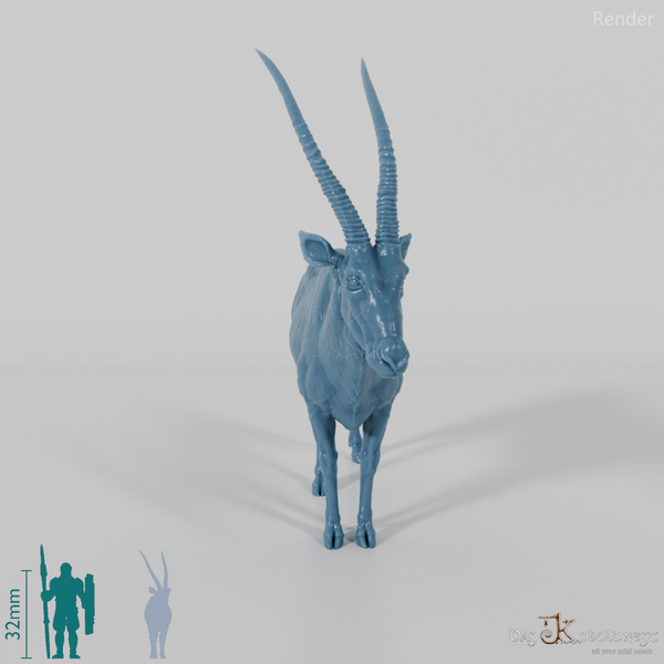 Antilope - Spießbock 01