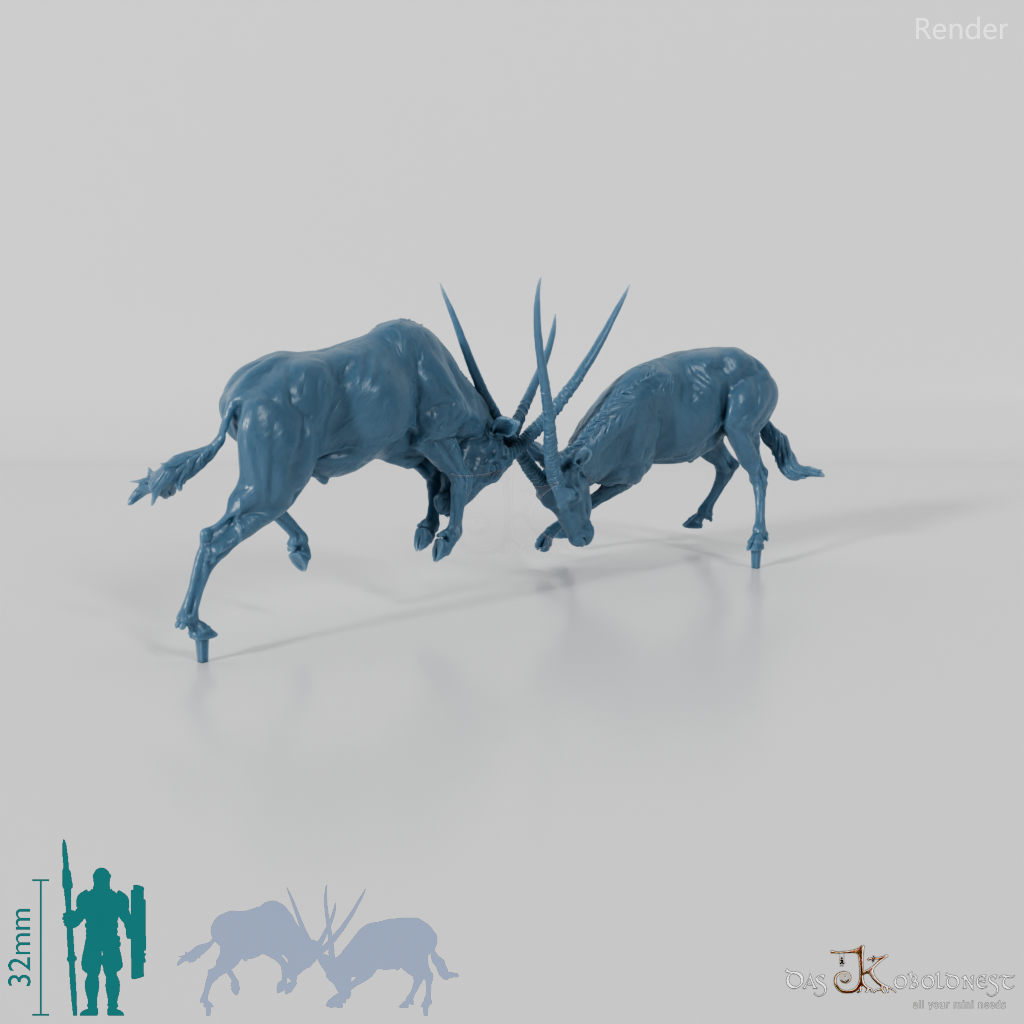 Antilope - Spießböcke - Kämpfend