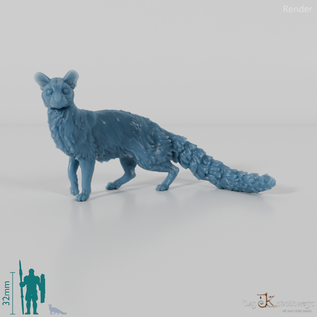 Civet cat - small-spotted genet 01