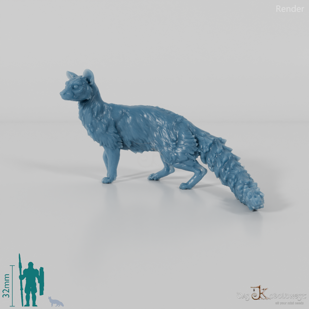 Civet cat - small-spotted genet 01