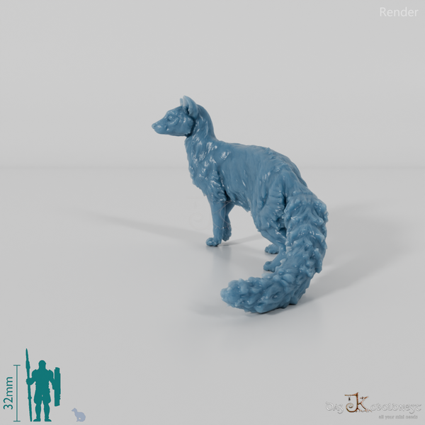 Schleichkatze - Kleinfleck-Ginsterkatze 01