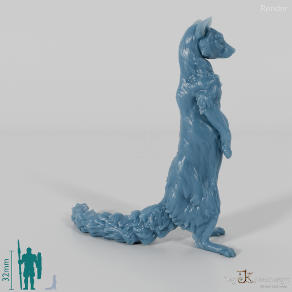 Civet cat - small-spotted genet 03