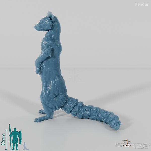 Civet cat - small-spotted genet 03