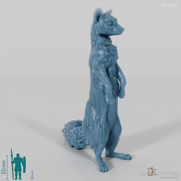 Civet cat - small-spotted genet 03