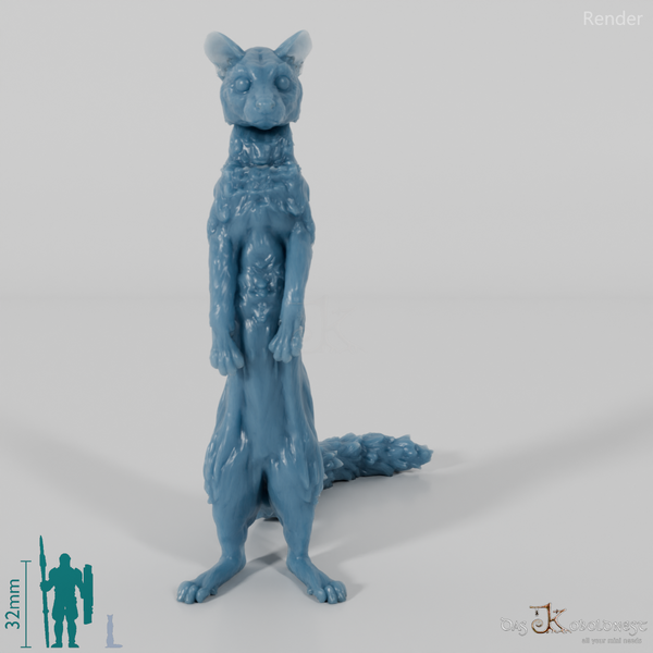 Civet cat - small-spotted genet 03