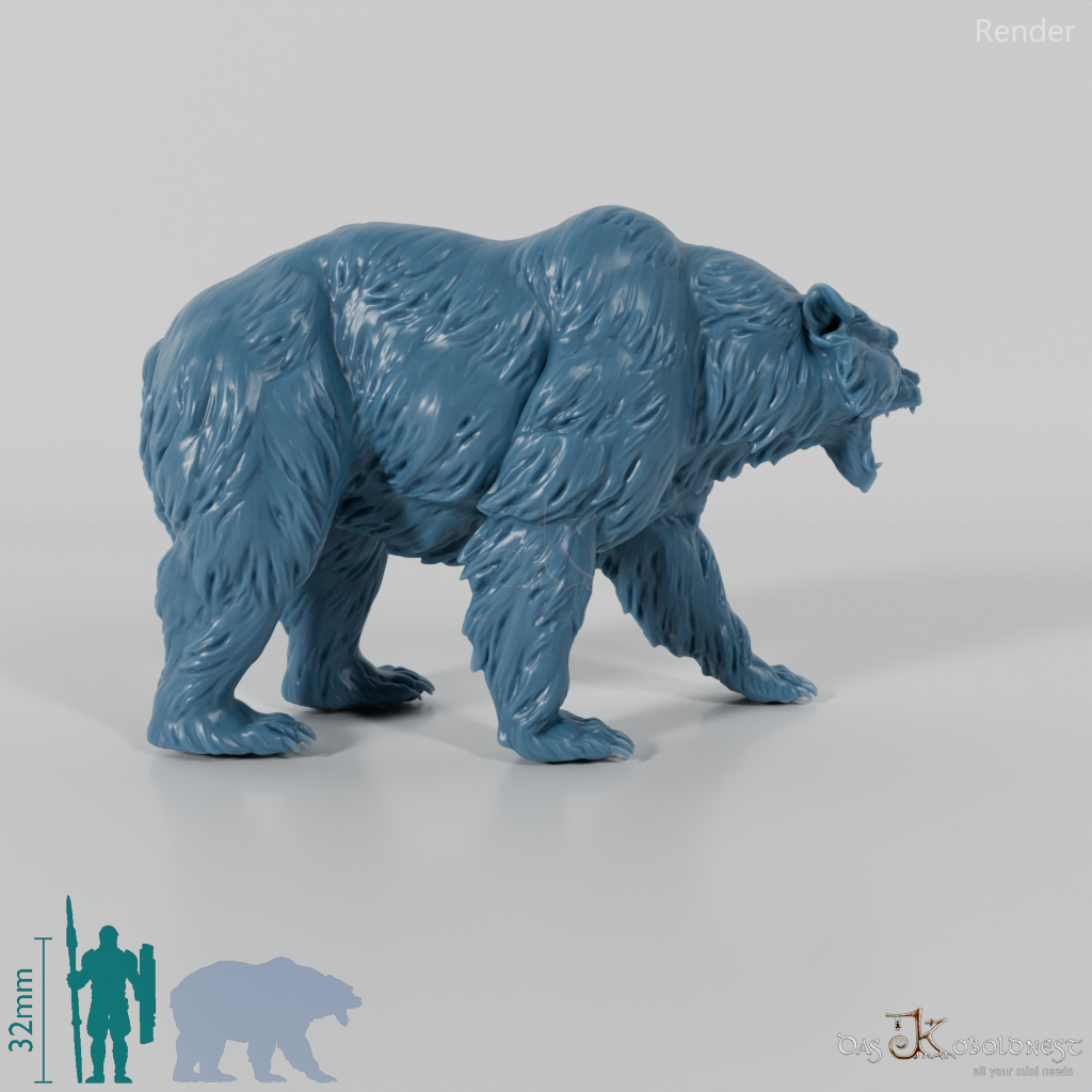 Bear - Grizzly Bear 01