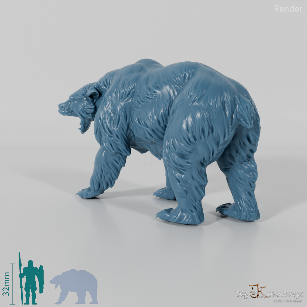 Bear - Grizzly Bear 01
