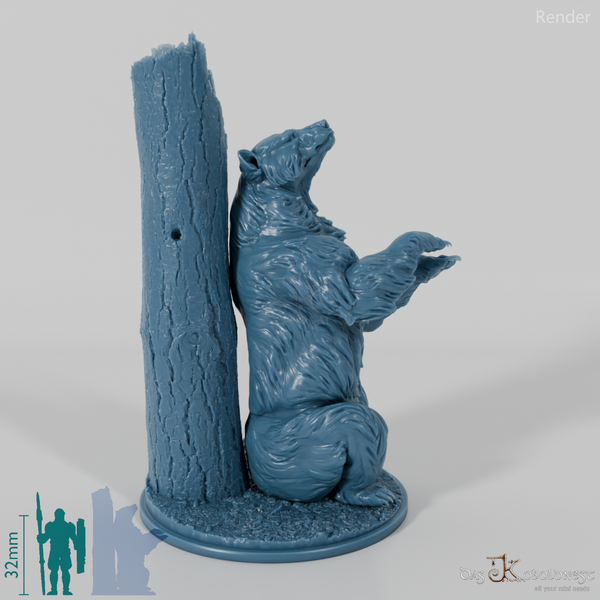 Bear - Grizzly Bear 02