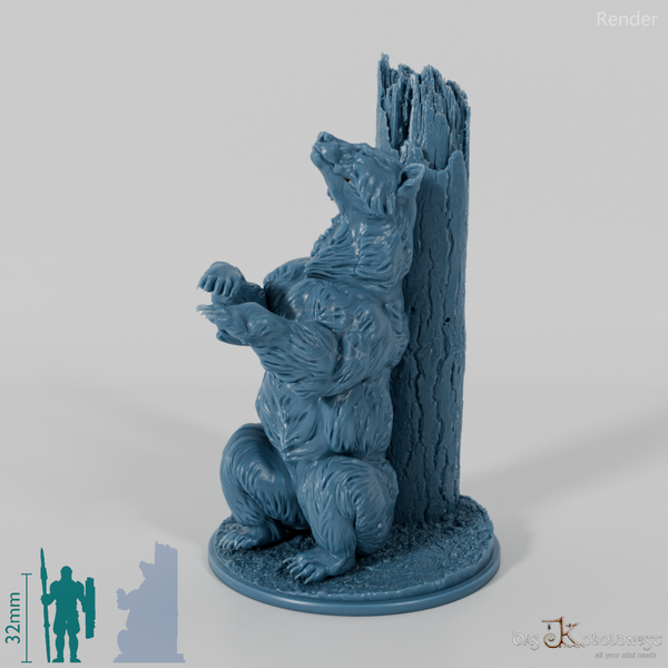 Bear - Grizzly Bear 02